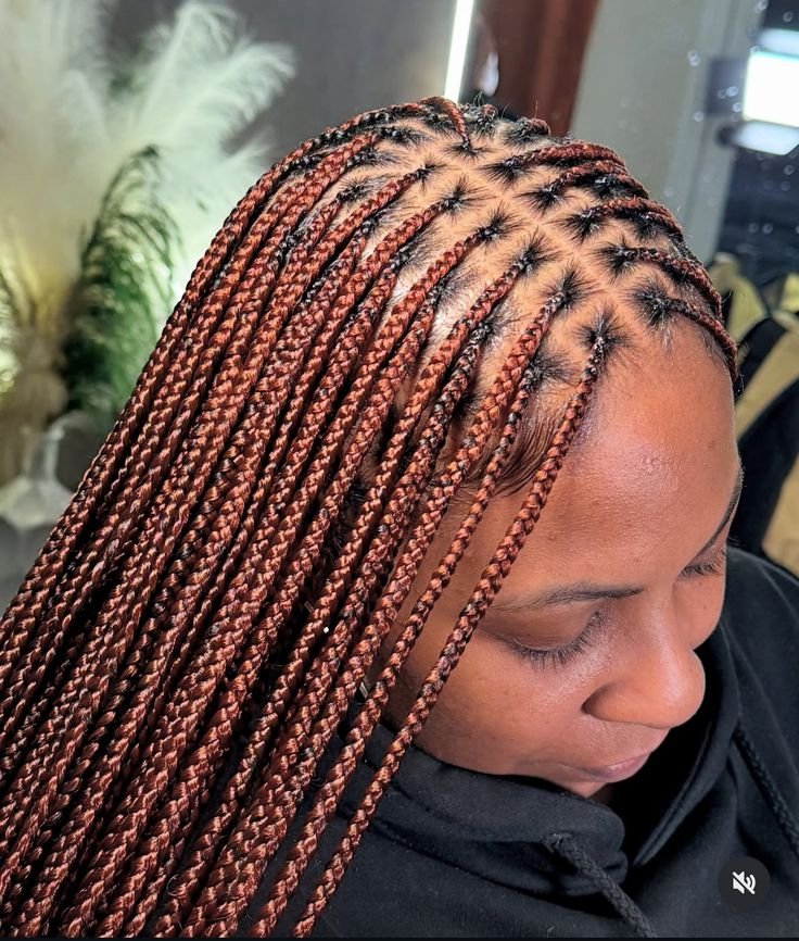 Box Braids hairstyle